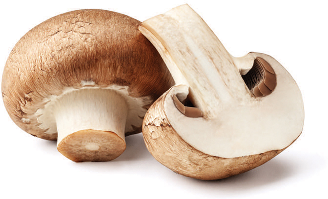 mushrooms