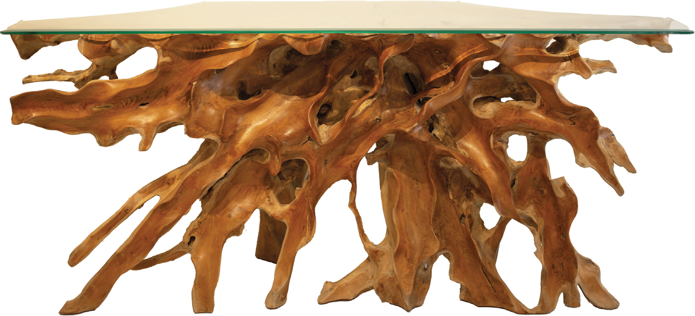 Organic Teak Root Table