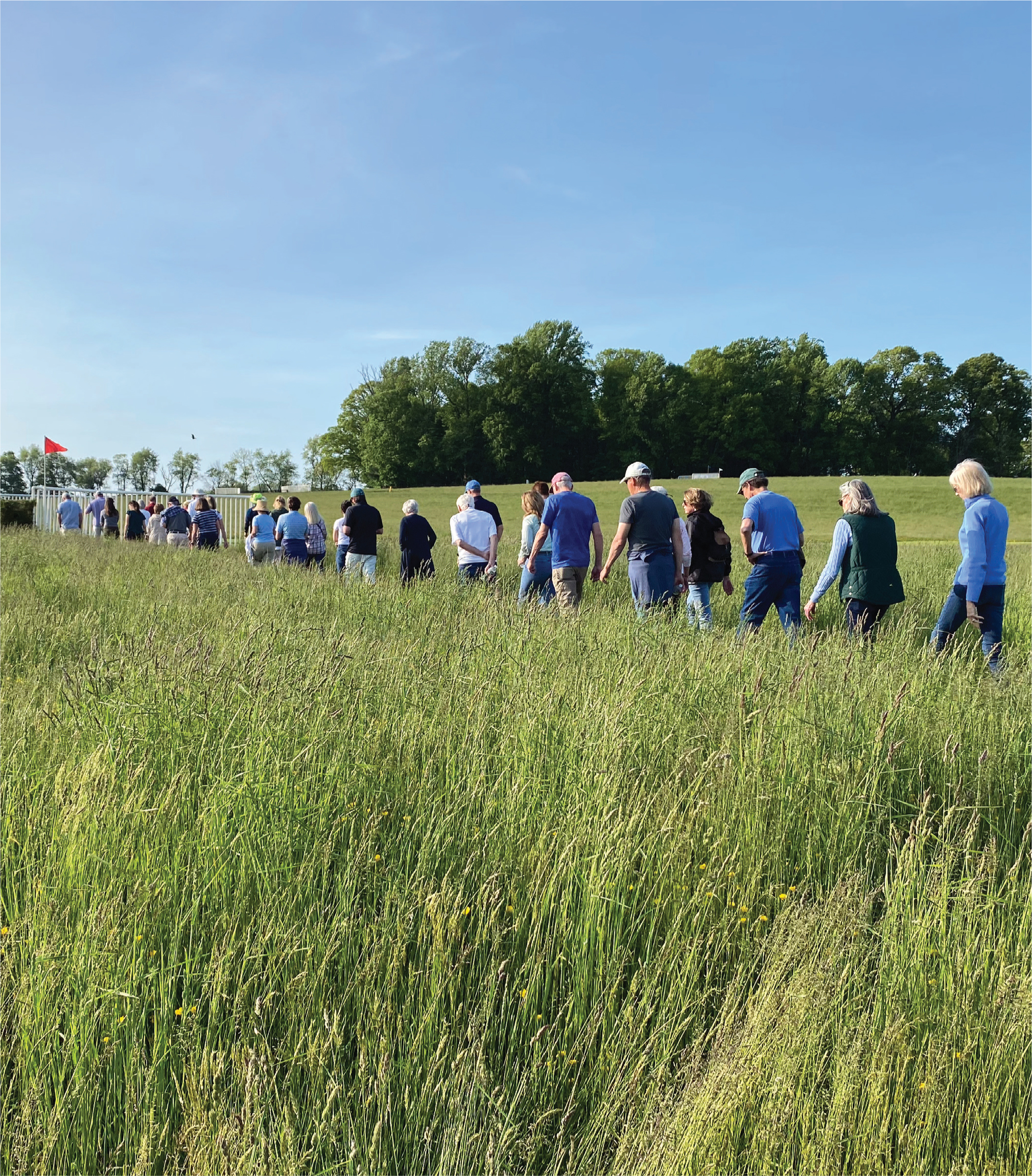 Committee members from the Willowdale Steeplechase walk the course prior to the race.