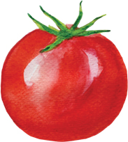 tomato